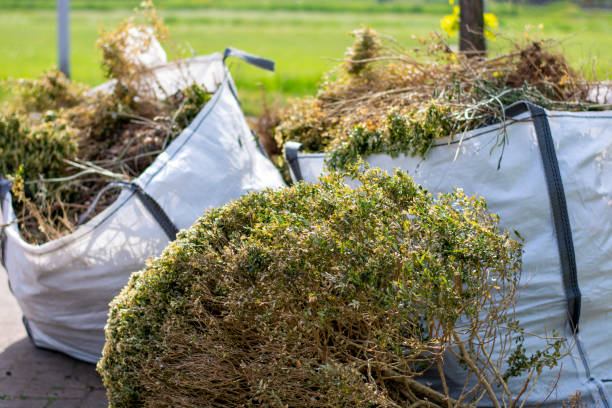 Household Junk Removal in Cedar Heights, MD